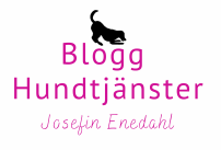 Blogg Hundtjänster